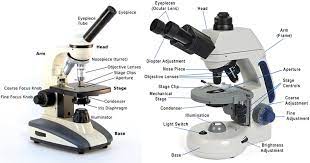 What is the function of the diaphragm on a microscope? Compound Microscope Definition Labeled Diagram Parts Uses
