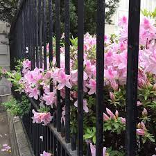 When i visited savannah earlier in the spring, i was with a friend who loves gawking at beautiful homes as much as i do. Spring In Savannah Georgia