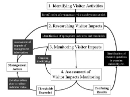 Visitor Impact Assessment Flow Chart Conceptual Flow