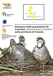 Image result for Orthopichonia barteri