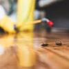 A larger property will require more time to cover. 1