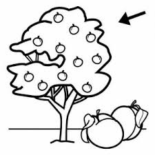 Here's a beech tree colouring page, part of our british tree colouring page collection. Orange Tree Coloring Page Free Coloring Library