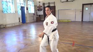 Check spelling or type a new query. Heian Shodan Karate Shotokan Kata 1 By Master Di Youtube