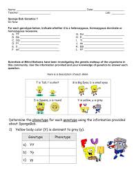 Explore the genetics of sponge bob and his pals with this fun worksheet! File