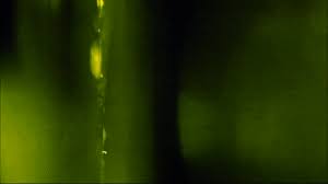 Any one else's cat nap on a salt lamp? Technologies Eoportal Directory Satellite Missions