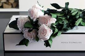 The company was founded in 2016 by viktoria frister in berlin, whose love for the city of light and the beautiful things in life reflect the company name. Long Stem Infinity Roses Sold Out Fleurs De Paris