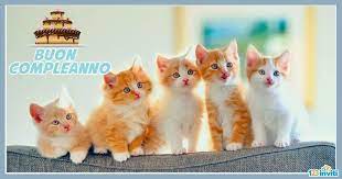 Cartoline Buon Compleanno Con Gatti Gattini Gatti Animali Simpatici