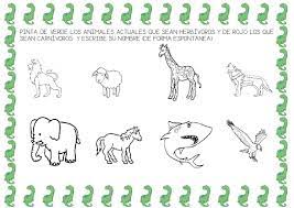 2 Bp Blogspot Com Oxsh3skcuaq Vxe Hrbu1 I Aaaaaaaaaig W8cl6zw8tfmovrx2nu3bmzr3frdzjkq3ackgb S1600 Dinosaurios Proyectos Educacion Infantil Animales Carnivoros