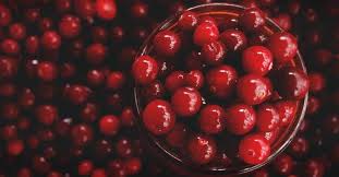 Growing Cranberries How To Grow Plant And Harvest Cranberries Medicinal Herbs Garden Vegetable Garden Raised Beds Cranberry Growing