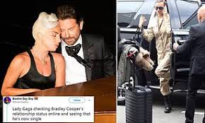 twitter predicts bradley cooper and lady gaga will become a