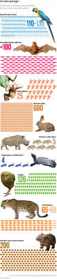 Environmental Education Resources For Teachers Endangered Animals Animal Conservation Rare Animals