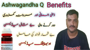 Withania somnifera, known commonly as ashwagandha, indian ginseng, poison gooseberry, or winter cherry, is a plant in the solanaceae or nightshade. Ashwagandha Q Benefits Ashwagandha Homeopathic Medicine Ashwagandha Ke Fayde Youtube