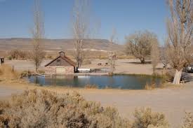 Image result for Little Catnip Spring - Sheldon Refuge Winnemucca NV
