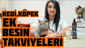 kedi ve kopekler icin harika ek takviye besinler mutamin salmon oil vmp tablet youtube