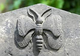 Zwei schmetterlinge zusammen, fliegen oder wohnen, zeigt glückliche eheliche beziehung. Schmetterling Symbol Fur Seele Und Auferstehung Bedeutung