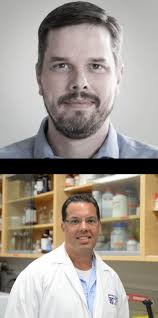 How can new biomedical imaging techniques help us understand strokes?