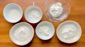 みんなのヨーグルトアカデミー