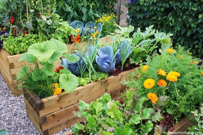Composting 101: Turn Waste into Garden Gold