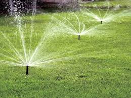 Watering less frequently encourages roots to grow. These Types Of Irrigation Systems Are Commonly Used In The Lawns To Provide Water To The Grass Lawn Sprinkler System Water Sprinkler System Best Lawn Sprinkler