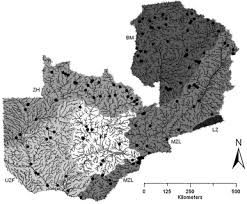 Image result for Eriocaulon teusczii