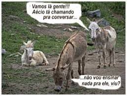 The best memes from instagram, facebook, vine, and twitter about clube atlético mineiro. Blog Do Briguilino Meme Mineiro Never