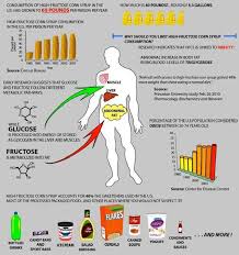 Face Facts High Fructose Corn Syrup Is Bad High Fructose Corn Syrup Corn Syrup High Fructose Corn Syrup Facts