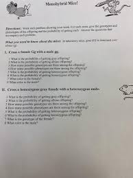 Introduction to mendelian genetics monohybrid crosses lesson 4. Monohybrid Mice Directions Work Each Problem Chegg Com