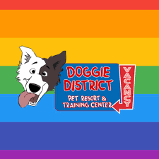 4 paws pet resort & activity center does everything possible to make sure your dog has a fun and healthy experience when spending the day with us. 4 Paws Pet Resort Home Facebook