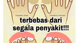 Tertib pemotongan kuku mengikut sunnah. Potong Kuku Ikut Sunnah Rasullulah Saw Mselim3 My Cute766