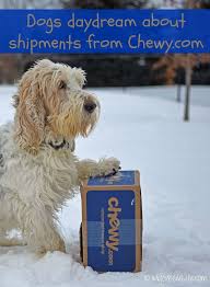 Nothing Beats Wild Salmon In The Winter Chewyinfluencer My Gbgv Life Wild Salmon Pets Dogs