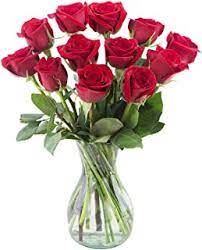 We did not find results for: Fresh Cut Flowers Amazon Com
