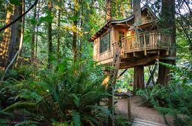 (redirected from federal way, wa). The Treehouses Of Western Washington Seattle Weekly