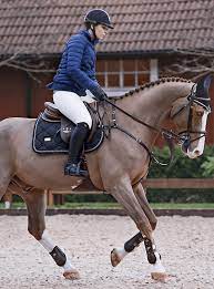 Since 2005, brigadoon has gone through a complete transformation of the facility, the professional staff and our overall equine management principles. Equestrian Stockholm Springschabracke Black Edition Lepona De