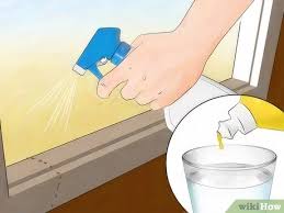 Porqué tengo hormigas en casa. 4 Formas De Matar Hormigas Sin Usar Pesticidas Wikihow