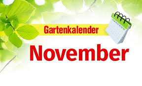 Gartenkalender November Selbst De Gartenkalender Garten Pflanzkalender