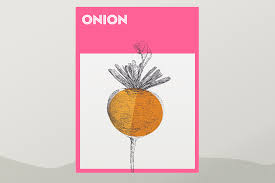 Onions should be cured for at least two to three weeks or until the tops necks are completely dry and the outer skin on the onion becomes slightly crisp. Onions A Growing Guide