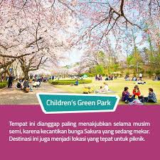 Boulevard serviced apartment condo jalan kuching taman wahyu for sells. Uzone Indonesia Saat Musim Semi Korea Selatan Facebook