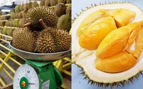 Tak payah campur cili pun dah nampak merah. Covid Tak Covid Harga Durian Tetap Melambung Gempak