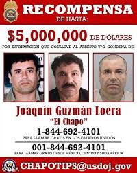 El Chapo Family Tree Google Search El Chapo El Chapo Guzman Joaquin Guzman Loera