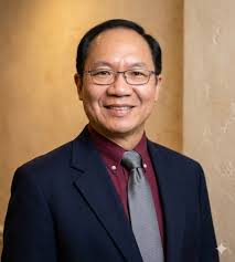 Who can provide bamboo removal and landscaping services?