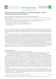 Image result for Habenaria tentaculigera