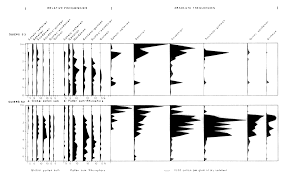 Image result for Kohautia microflora