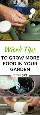Ok So Some Of These Are Pretty Out There Who Would Have Thought Of Using Baby Diapers In Organic Gardening Tips Vegetable Garden Tips Gardening For Beginners