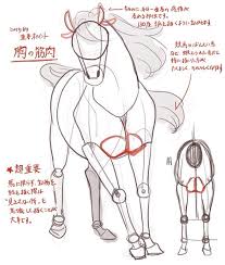 hakobune 馬の描き方 イラスト 馬 動物のスケッチ