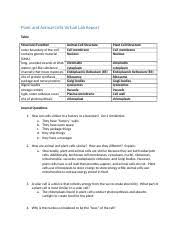 Animal and plant cell virtual lab. Plant And Animal Cells Virtual Lab Report Docx Plant And Animal Cells Virtual Lab Report Table Structure Function Outer Boundary Of The Cell Contains Course Hero