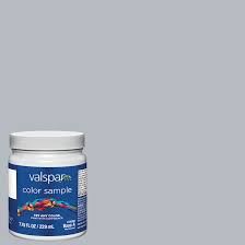 Valspar Voyage 4006 1b Paint Sample