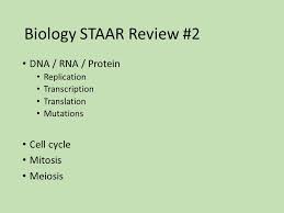 Maybe you would like to learn more about one of these? Biology Staar Review 2 Dna Rna Protein Cell Cycle Mitosis Meiosis Ppt Video Online Download