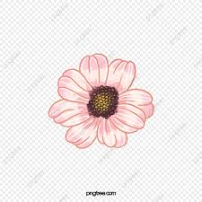 23 lihat gambar bunga kartun dan pada ulasan kali ini juga akan. Kartun Bunga Gambar Png Unduh 3600 Kartun Bunga Sumber Daya Png Dengan Latar Belakang Transparan