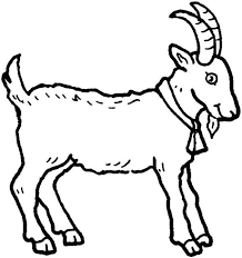Picture Of A Goat In Farm Animal Coloring Page Animal Coloring Pages Animal Outline Farm Animal Coloring Pages