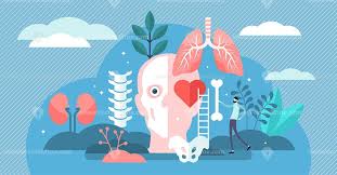 Pin On Health And Medicine Illustrated